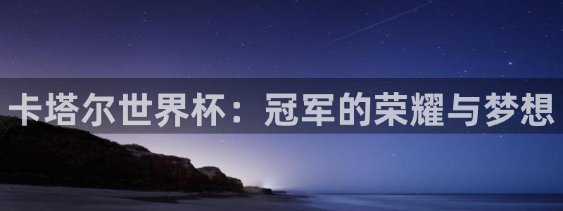 世界杯足球比赛:卡塔尔世界杯:冠军的荣耀与梦想