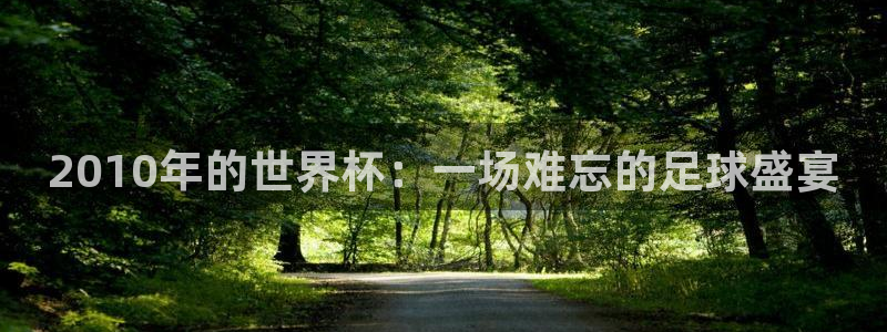世界杯决赛直播:2010年的世界杯:一场难忘的足球盛宴