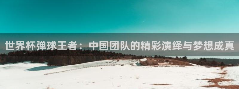 中国 世界杯:世界杯弹球王者:中国团队的精彩演绎与梦想成真