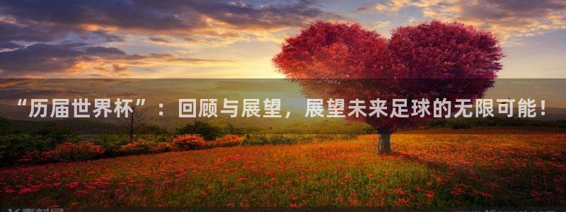 世预赛欧洲赛程表:“历届世界杯”:回顾与展望,展望未来足球的无限可能!