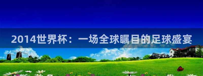 2006年世界杯冠军:2014世界杯:一场全球瞩目的足球盛宴