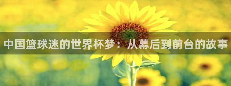 世界杯葡萄牙赛程:中国篮球迷的世界杯梦:从幕后到前台的故事