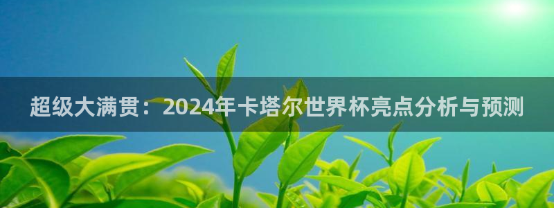 2026男足世界杯:超级大满贯:2024年卡塔尔世界杯亮点分析与预测