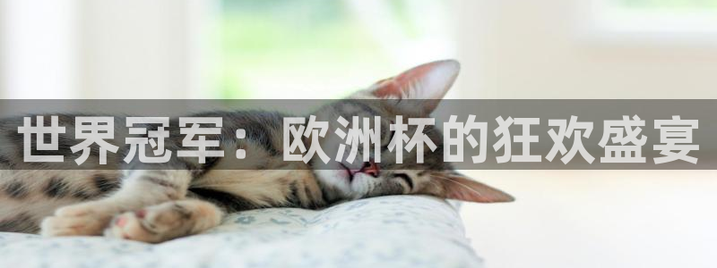 国际足联世界杯:世界冠军:欧洲杯的狂欢盛宴