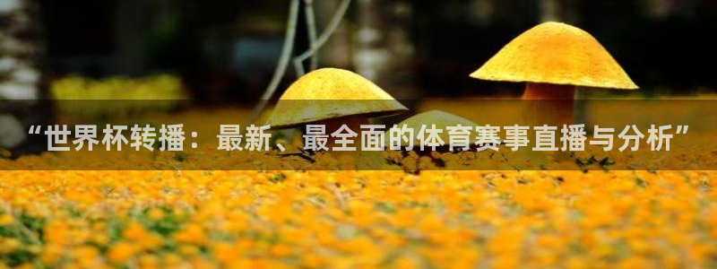 女足世界杯直播在线观看免费高清:“世界杯转播:最新、最全面的体育赛事直播与分析”