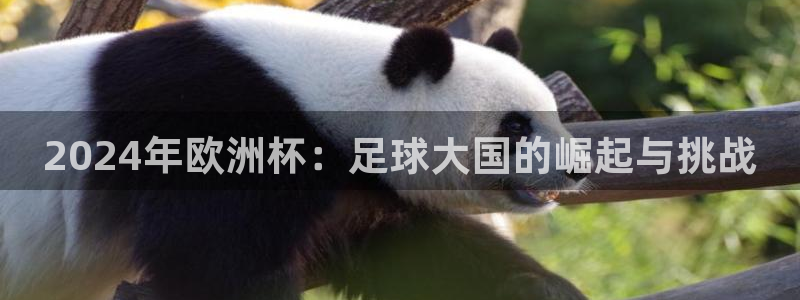 世界杯2026赛程时间表格:2024年欧洲杯:足球大国的崛起与挑战